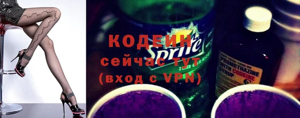 твердый Дубна