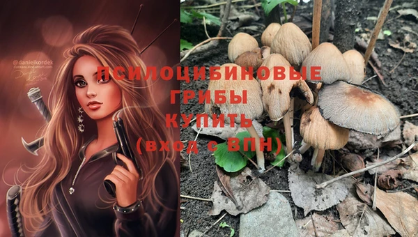 круглые Покачи