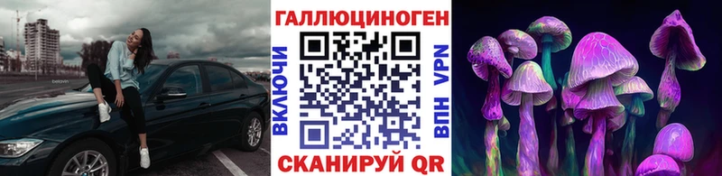 наркотики  Удачный  Псилоцибиновые грибы Psilocybine cubensis 